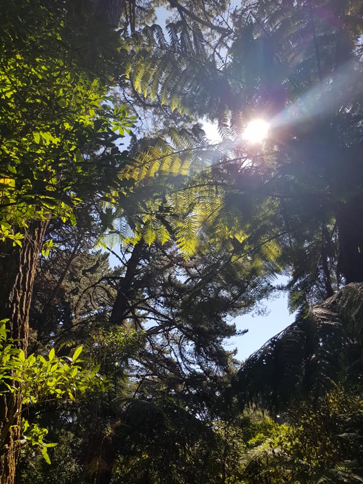 The Valley – the game